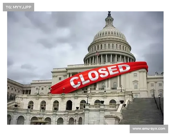 媒体析特朗普观赛争议:体育政治界限再引辩论 媒体析特朗普观赛争议:体育政治界限再引辩论