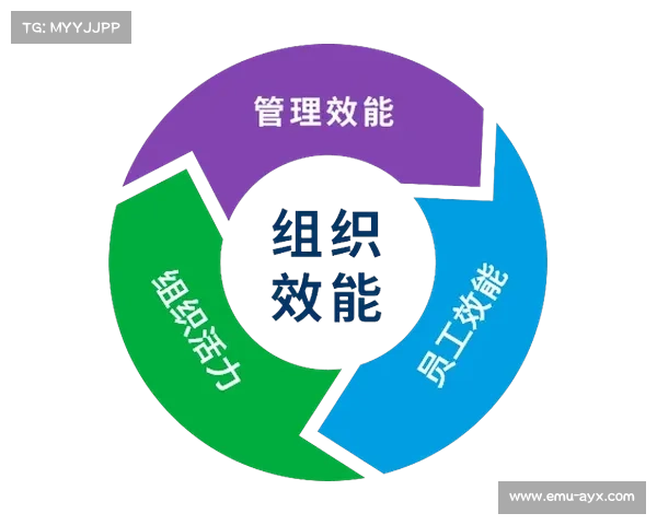 德甲与联合国合作推出环保赛事，碳中和目标提前实现